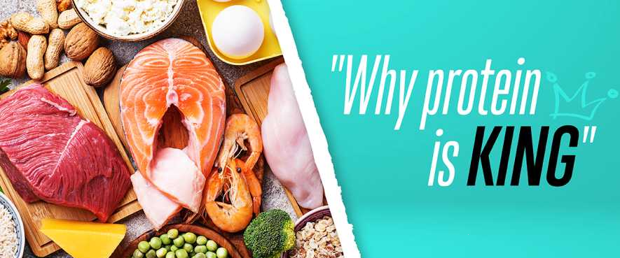 Why is protein so important?